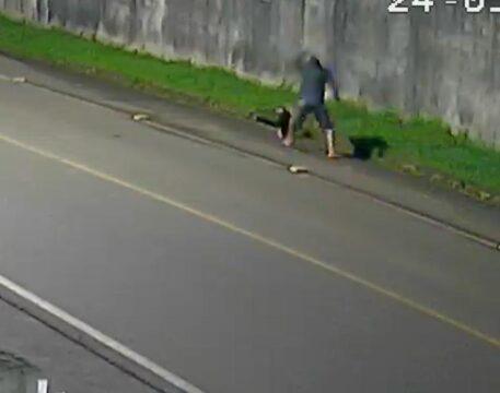 Homem suspeito de matar tamanduá em Turvo