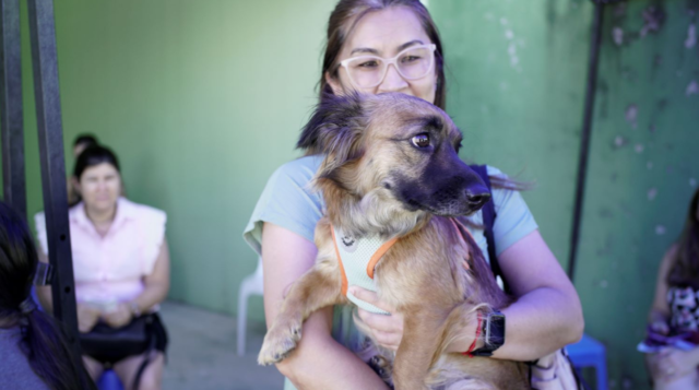 Bem-estar animal em destaque: Governo de Santa Catarina promove ações durante o Abril Laranja