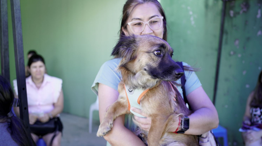 Bem-estar animal em destaque: Governo de Santa Catarina promove ações durante o Abril Laranja
