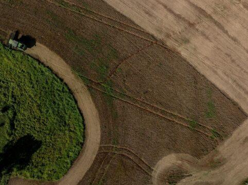 Desempenho do agronegócio de Santa Catarina em 2025