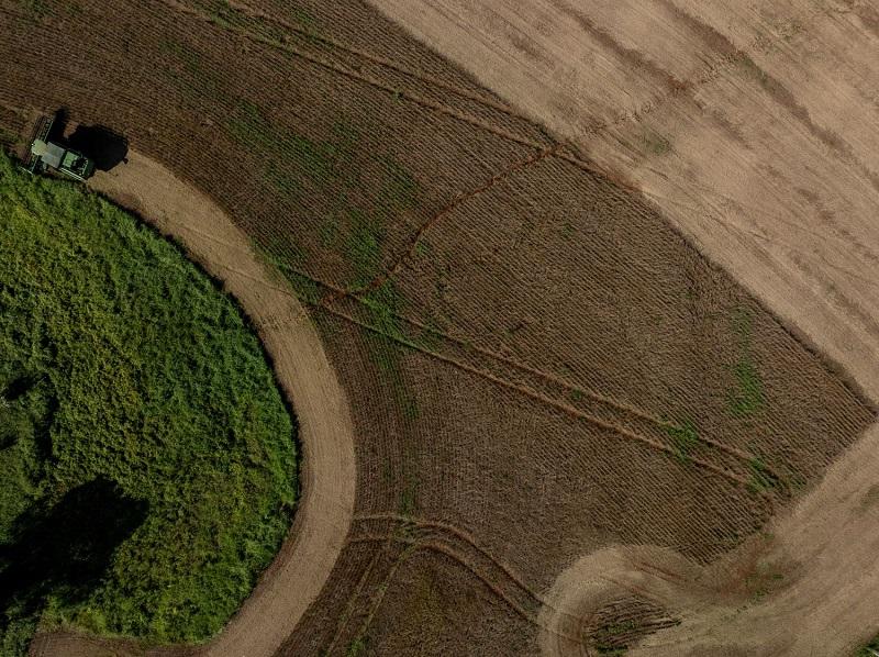 Desempenho do agronegócio de Santa Catarina em 2025