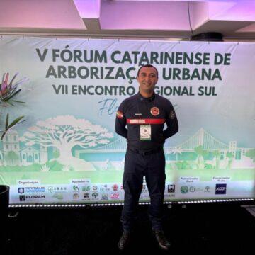 Atuação operacional do CBMSC em ocorrências com árvores