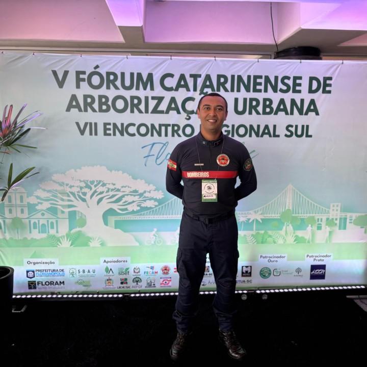 Atuação operacional do CBMSC em ocorrências com árvores