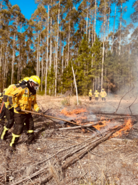Bombeiros Militares capacitando-se para o combate a incêndios florestais