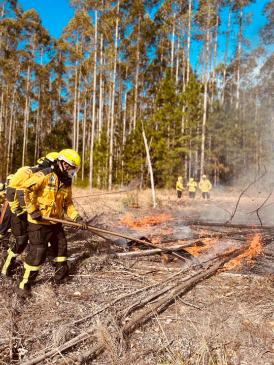 Bombeiros Militares capacitando-se para o combate a incêndios florestais