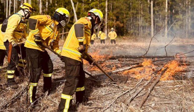 Bombeiros capacitados para combate a incêndios florestais em Santa Catarina