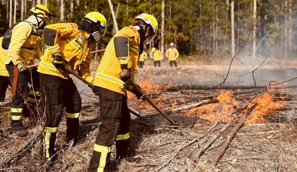 Bombeiros capacitados para combate a incêndios florestais em Santa Catarina