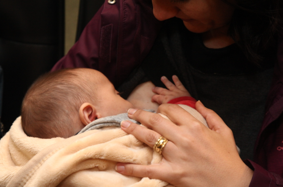 Congresso Catarinense de Aleitamento Materno