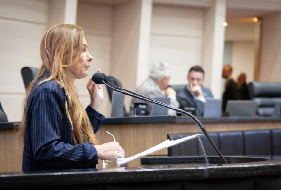 Deputada Paulinha discursando sobre o Projeto de Lei para combater a violência contra a mulher