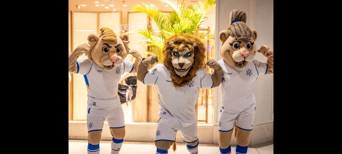 Espaço Ecossistema Avaí no piso L3 do Beiramar Shopping