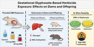 Imagem ilustrativa de roedores em laboratório