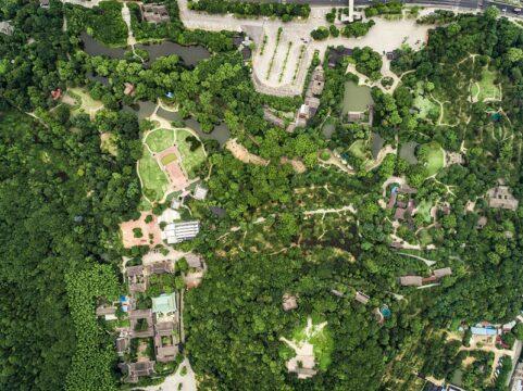 Áreas de preservação permanente urbana em Santa Catarina