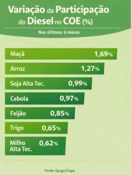 Impacto do Conflito no Oriente Médio nos Custos do Agronegócio em Santa Catarina
