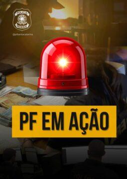 Grupo criminoso desarticulado pela PF