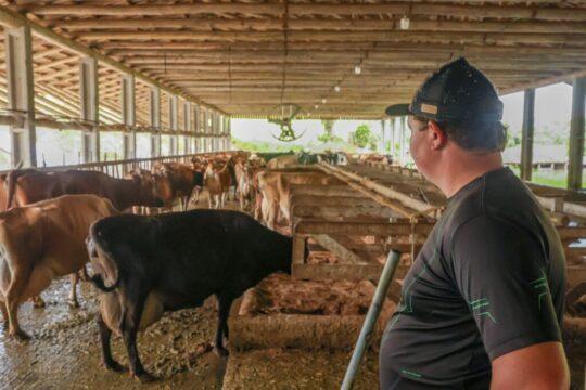 Produtores de leite acessando o Pronampe Leite em SC