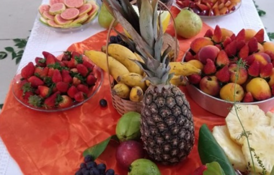 Alimentos da Agricultura Familiar na Merenda Escolar