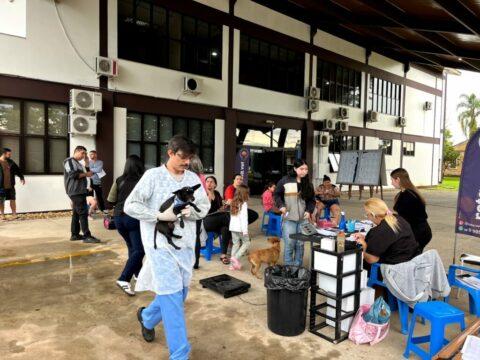 Mutirão de castração em Forquilinha