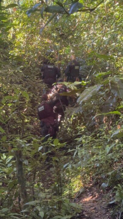 Restos mortais escavados em cova na mata