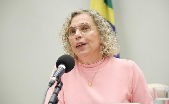Ilustração representativa das práticas integrativas e complementares em saúde no Sistema Único de Saúde