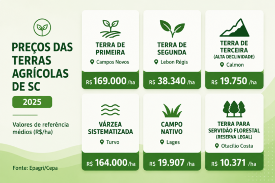 Imagem de terras agrícolas valorizadas em Santa Catarina