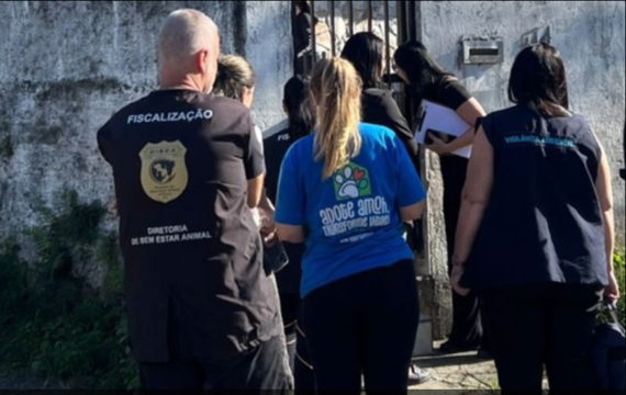 Cães resgatados em situação de maus-tratos em Palhoça