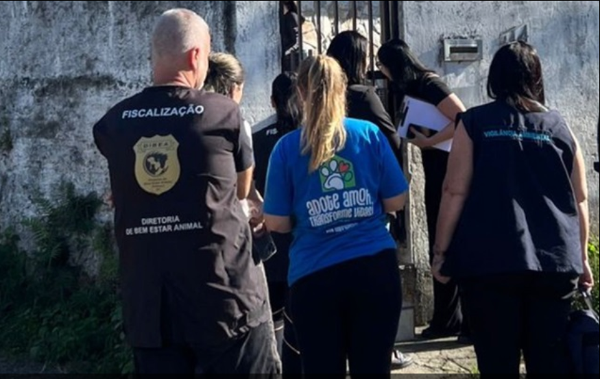 Cães resgatados em situação de maus-tratos em Palhoça